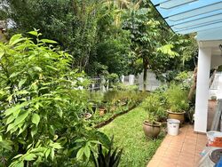 Camelia Park (D28), Semi-Detached #466809591